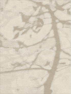 Branches 1